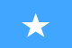 m019 flag so